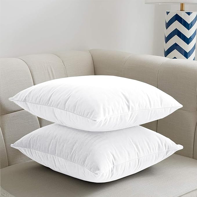 2 Pack Velvet Cushion Covers – 18x18 Inch Soft Touch