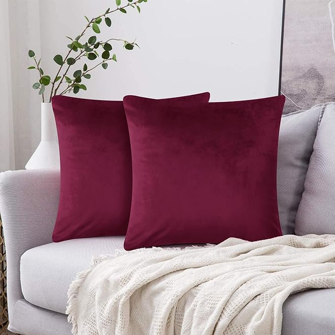 2 Pack Velvet Cushion Covers – 18x18 Inch Soft Touch