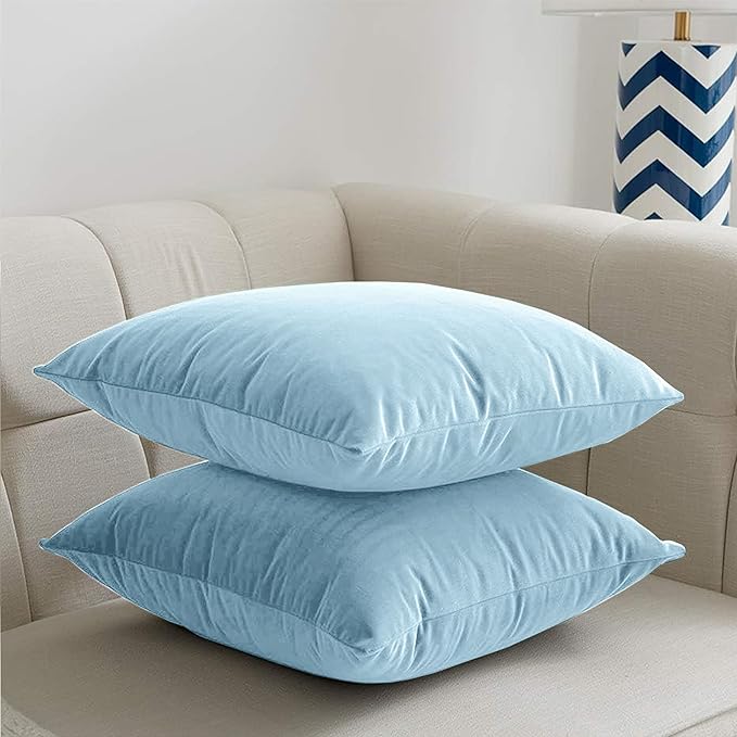 2 Pack Velvet Cushion Covers – 18x18 Inch Soft Touch