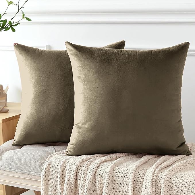 2 Pack Velvet Cushion Covers – 18x18 Inch Soft Touch