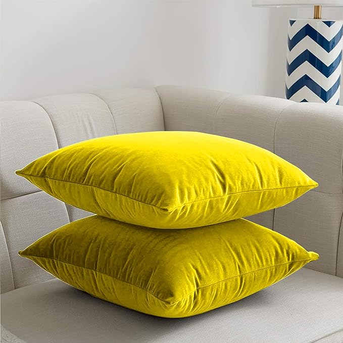 2 Pack Velvet Cushion Covers – 18x18 Inch Soft Touch