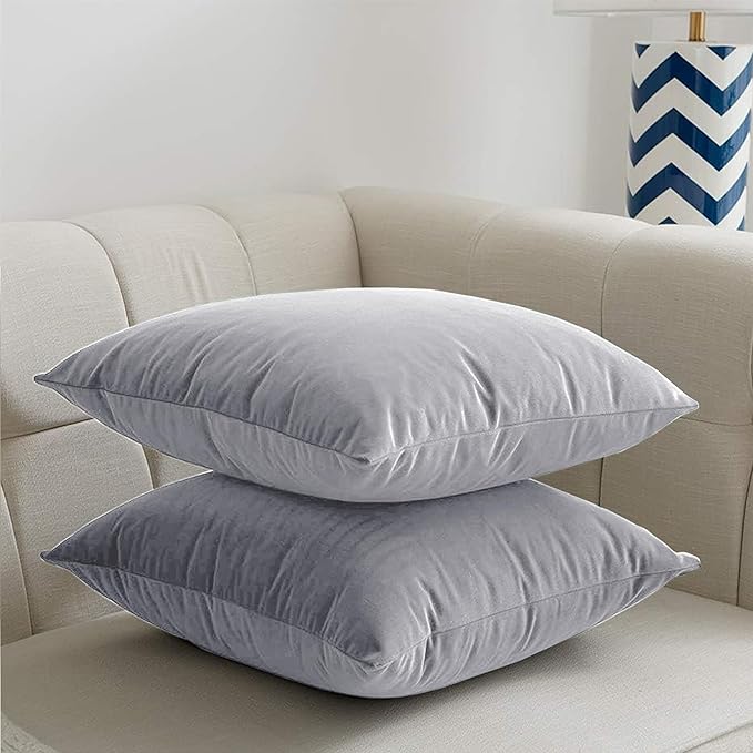 2 Pack Velvet Cushion Covers – 18x18 Inch Soft Touch