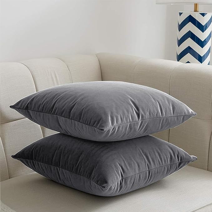 2 Pack Velvet Cushion Covers – 18x18 Inch Soft Touch