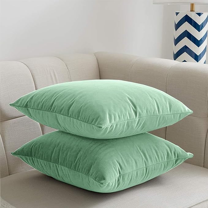 2 Pack Velvet Cushion Covers – 18x18 Inch Soft Touch