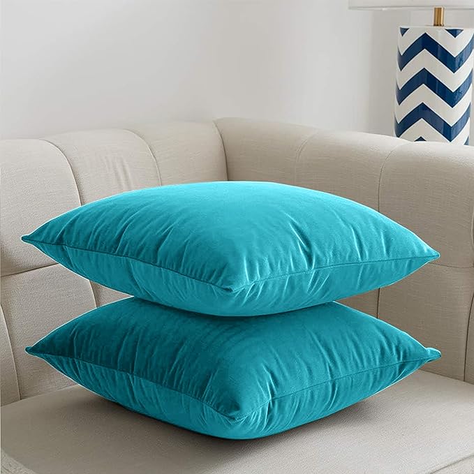 2 Pack Velvet Cushion Covers – 18x18 Inch Soft Touch
