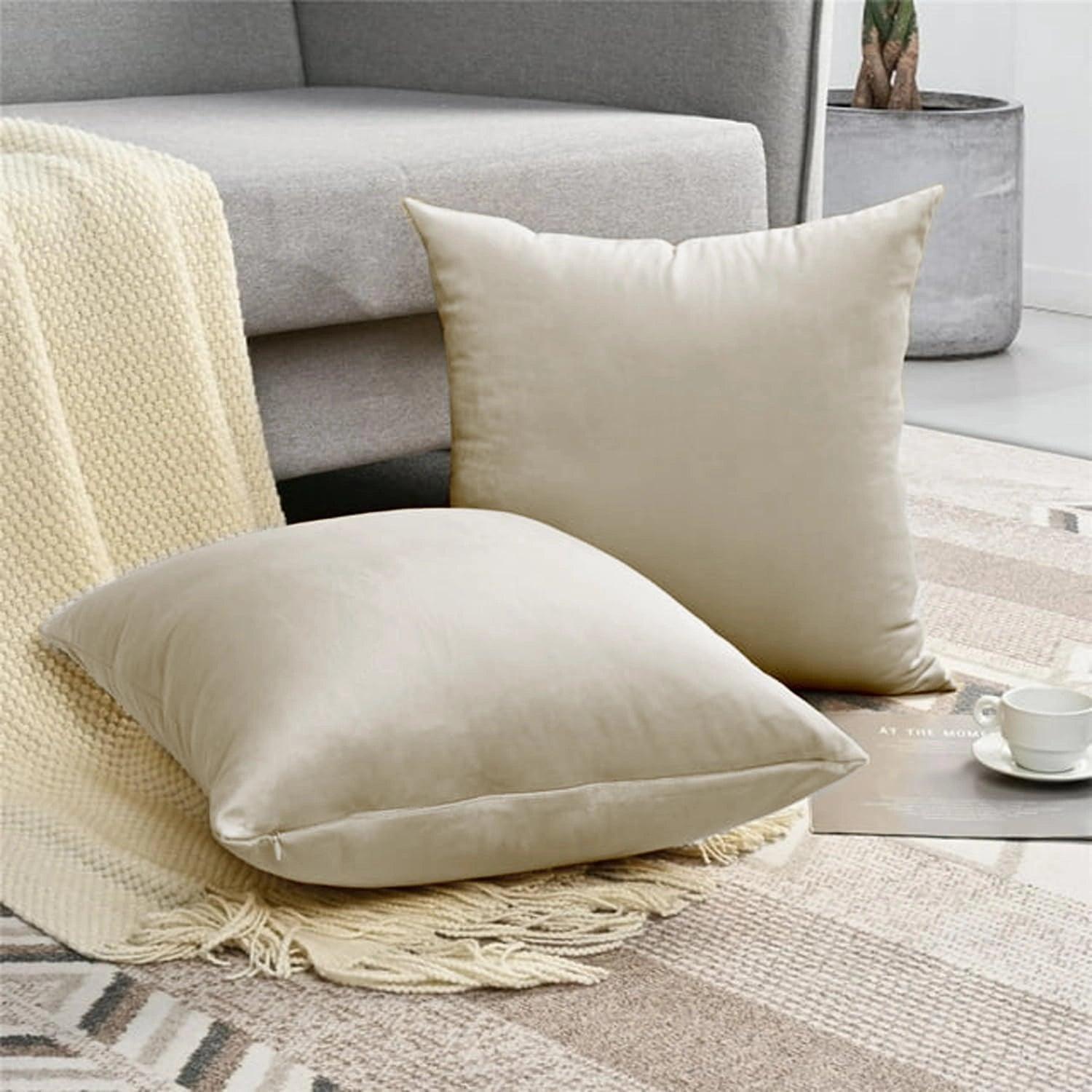 2 Pack Velvet Cushion Covers – 18x18 Inch Soft Touch

