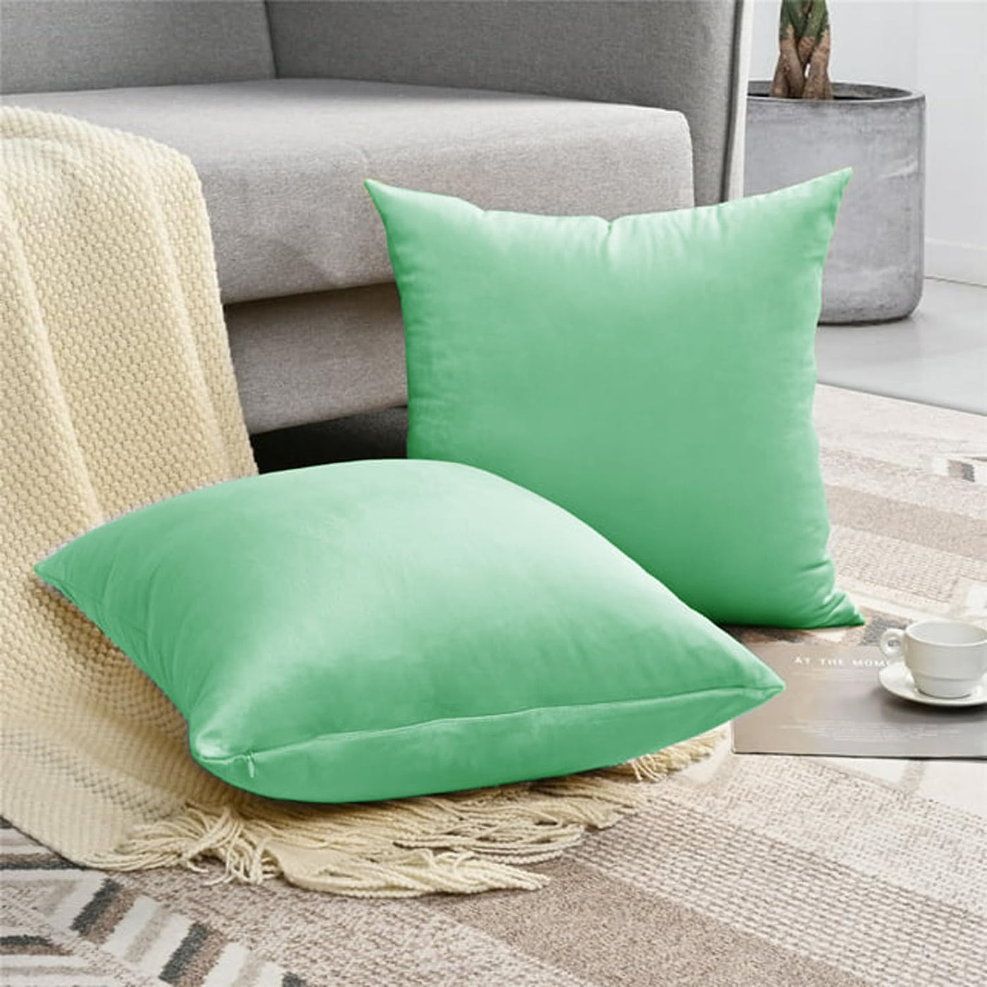 Pack of 2 Velvet Cushion Covers 18x18 inch