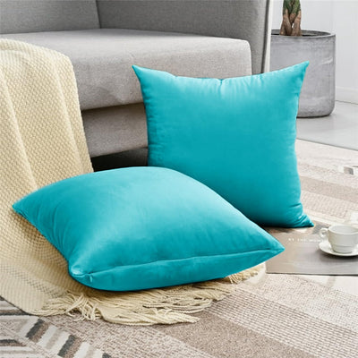 Pack of 2 Velvet Cushion Covers 18x18 inch